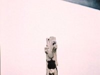 photos 2000-200901038